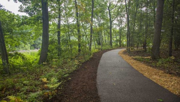 Why Permeable Paving is Great for Your Pathways  